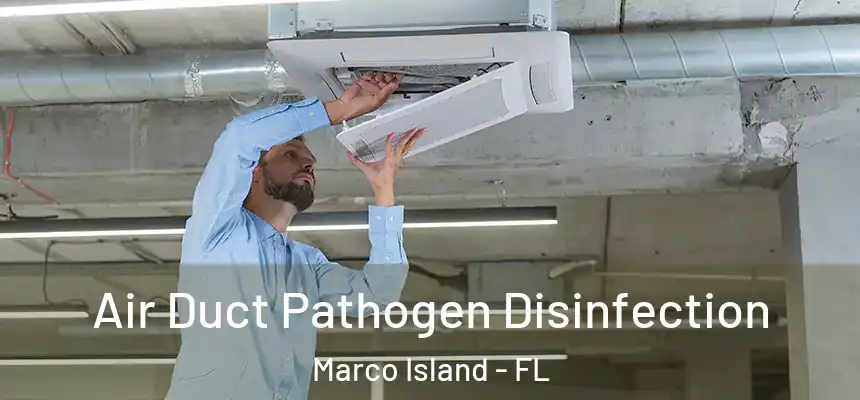 Air Duct Pathogen Disinfection Marco Island - FL
