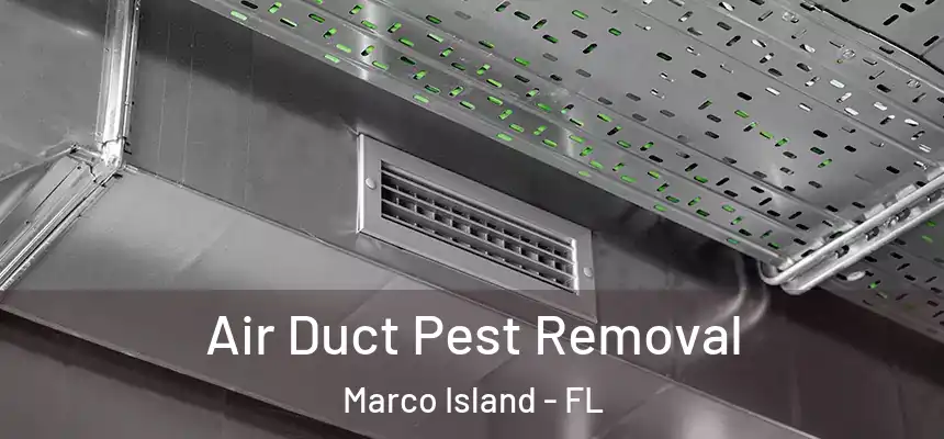 Air Duct Pest Removal Marco Island - FL