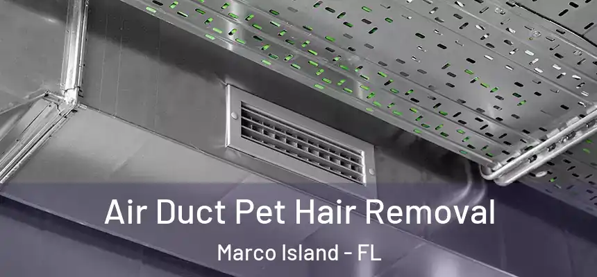 Air Duct Pet Hair Removal Marco Island - FL