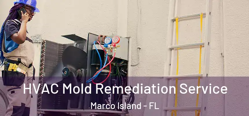 HVAC Mold Remediation Service Marco Island - FL