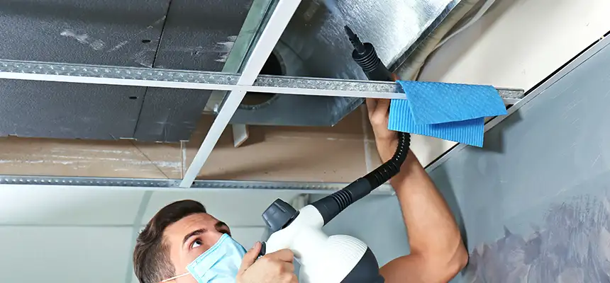 Our Air Duct Rodent Removal Services in Marco Island, FL