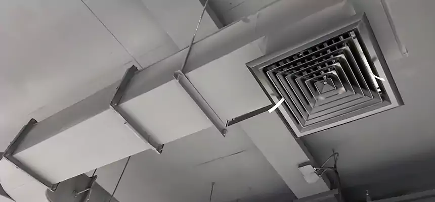 Restorative Allergy Relief Vent Cleaning – Coil, Blower & Housing Detail in Marco Island