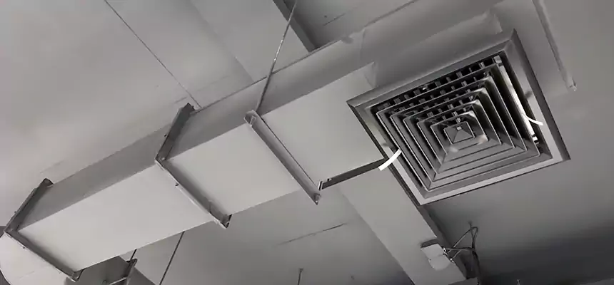 Our Pest Removal From Ducts Services in Marco Island, FL