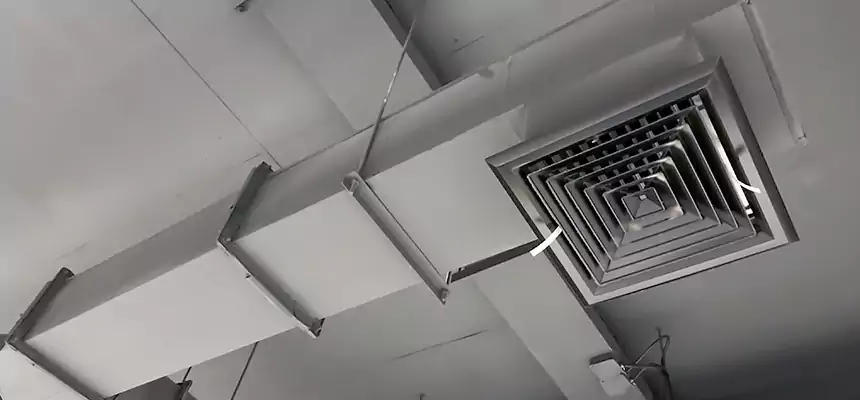 Our Rodent Droppings In Vents Services in Marco Island, FL