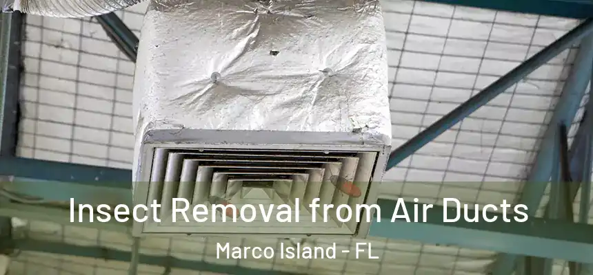 Insect Removal from Air Ducts Marco Island - FL