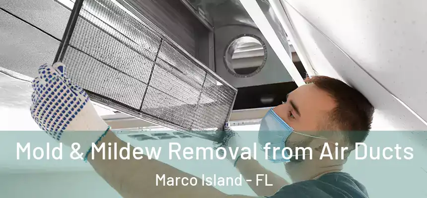 Mold & Mildew Removal from Air Ducts Marco Island - FL