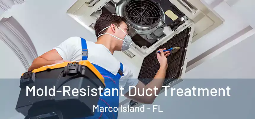 Mold-Resistant Duct Treatment Marco Island - FL