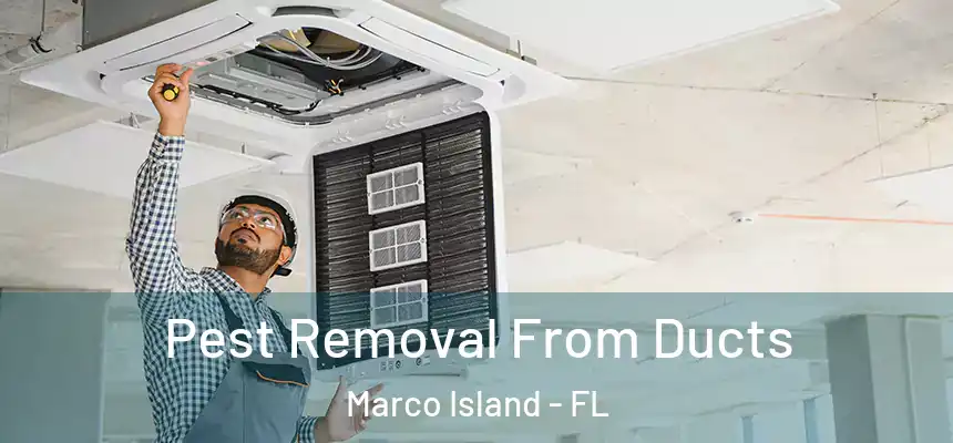 Pest Removal From Ducts Marco Island - FL