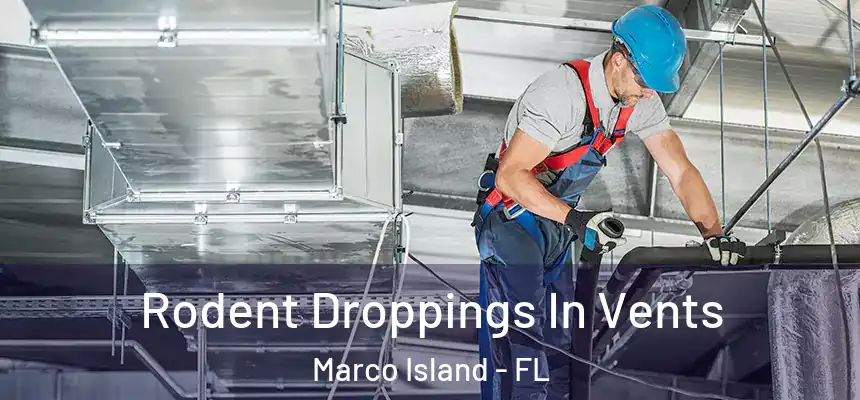 Rodent Droppings In Vents Marco Island - FL