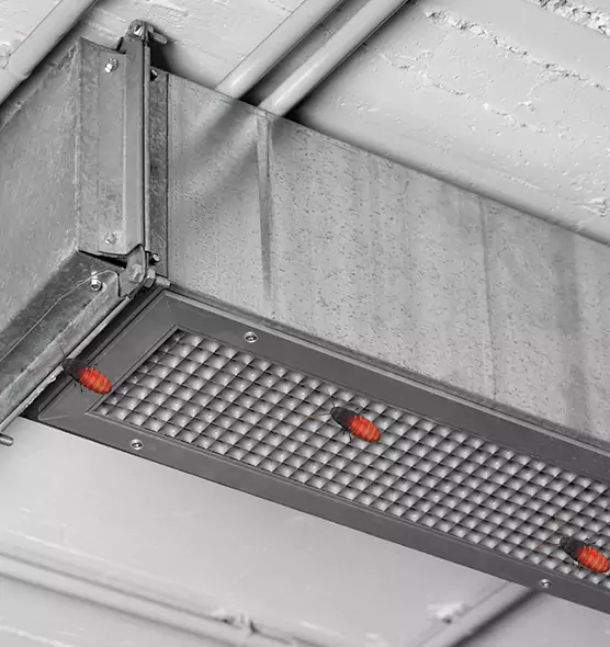About Air Duct Cockroach Removal in Marco Island, FL