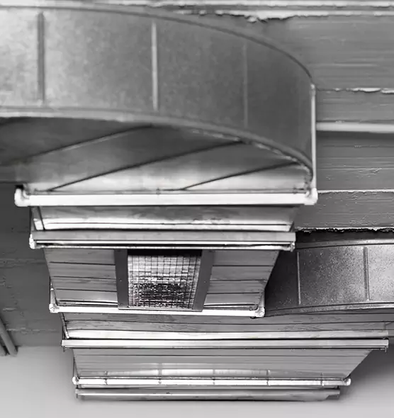 Professional Air Duct Pet Hair Removal in Marco Island, FL