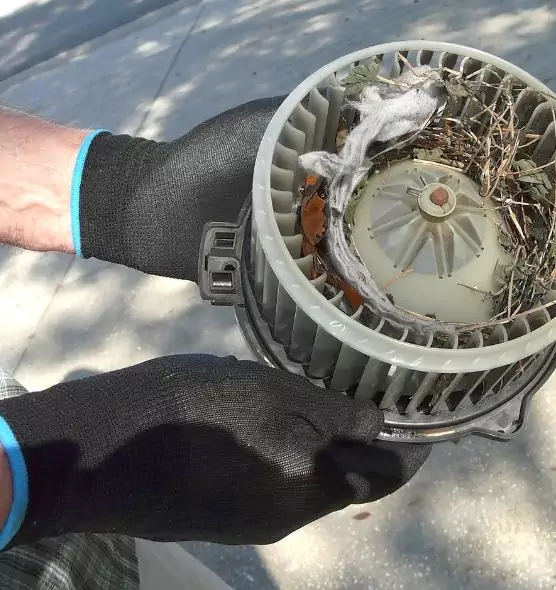 About Air Duct Rat Removal in Marco Island, FL