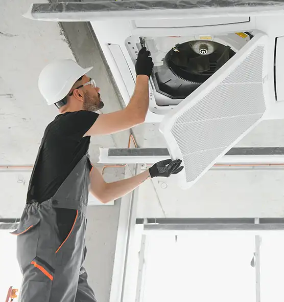 About Air Duct Rodent Removal in Marco Island, FL