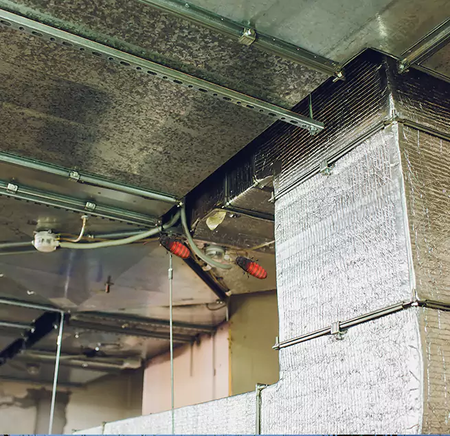 Why Homeowners & Businesses Trust Us in Marco Island, FL?