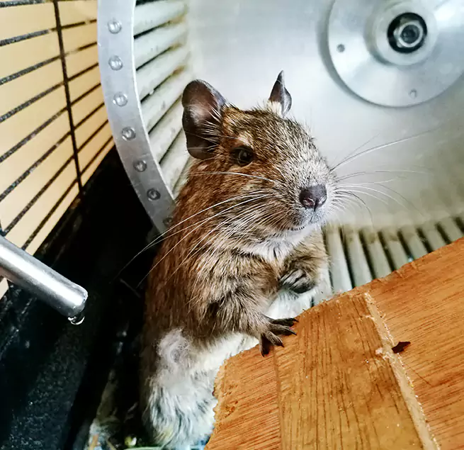 Why Homeowners & Businesses Trust Us Marco Island, FL?