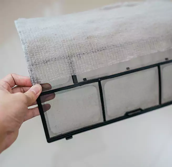 Why Homeowners & Businesses Trust Us in Marco Island, FL?