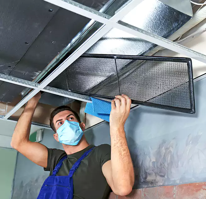 Why Homeowners Businesses Trust Us in Marco Island, FL